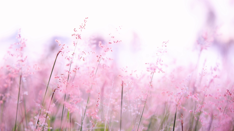 Laser íntimo: O que é, como funciona e quais são seus benefícios?