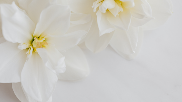 Tudo sobre Ninfoplastia com Laser de CO2